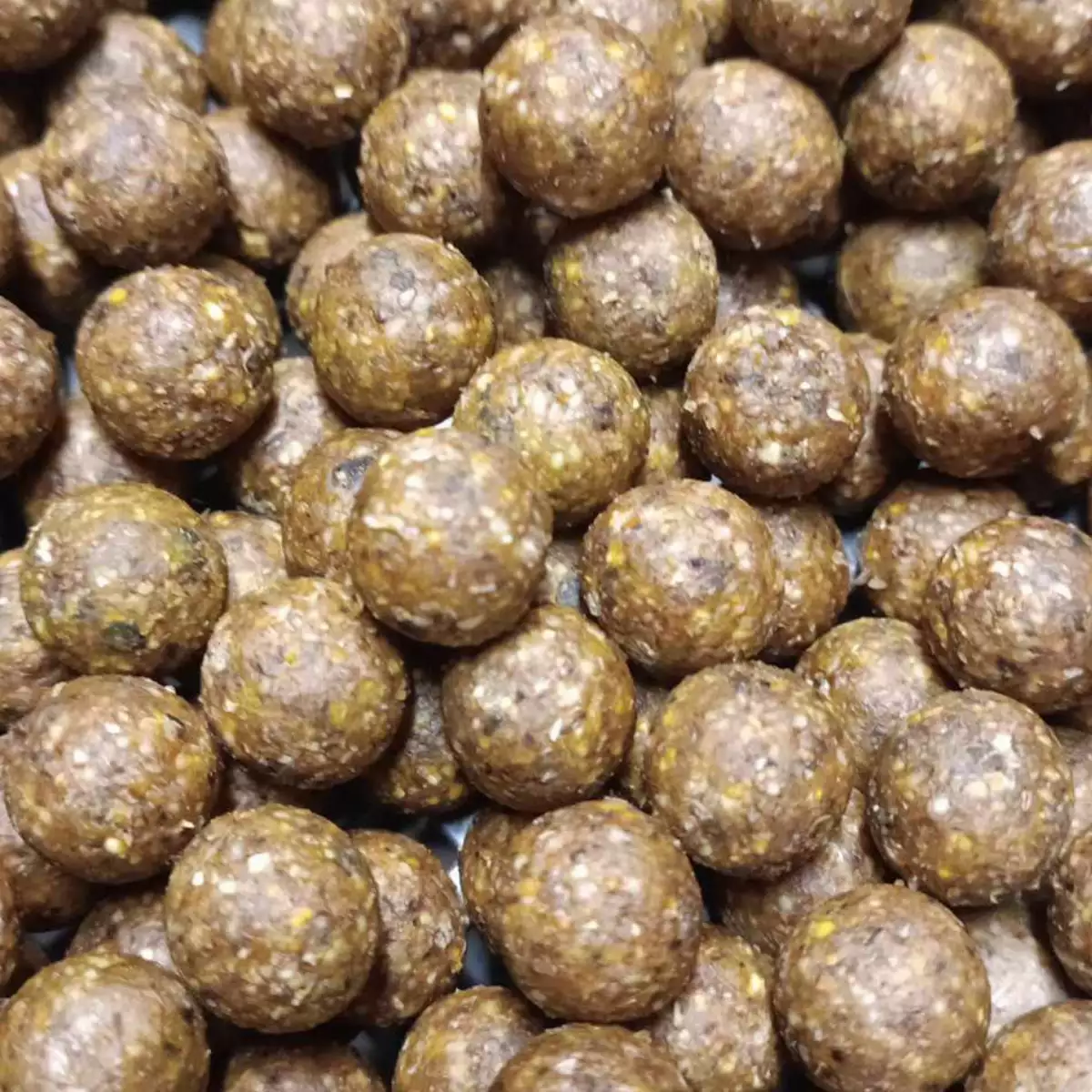 THON ㅤㅤㅤㅤㅤ